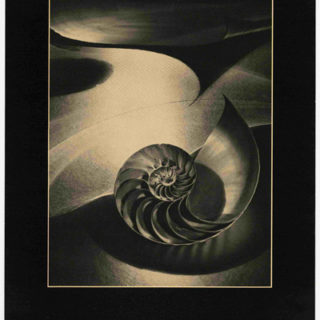 Corpron, Carlotta: CREATIVE PHOTOGRAPHY / IMAGES OF THE IMAGINATION [poster title]. Denton, TX: Texas Woman’s University, 1980.